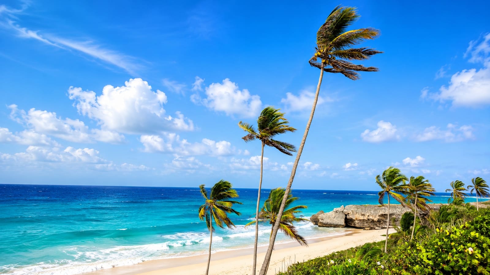 The 10 Best Beaches in Barbados